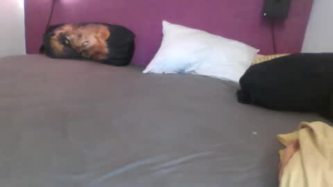 Snapshot of _bertl_ chatting on October 2025 08:36:02 PM _bertl_ online show from October 2025 08:36:02 PM