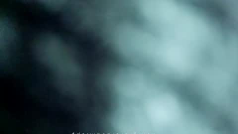 Snapshot of _black_horse_1 chatting on May 2026 11:23:04 PM _black_horse_1 online show from May 2026 11:23:04 PM