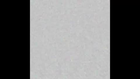 Brenda online show from October 2025 11:51:02 AM