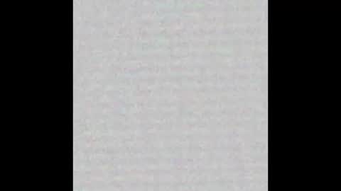 Brenda online show from October 2025 11:43:01 AM