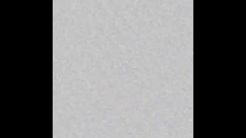 Brenda online show from October 2025 11:55:02 AM