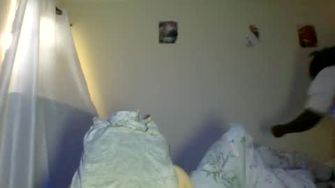 clara online show from June 2026 09:40:01 AM