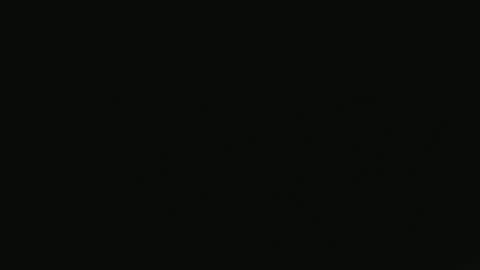 Dani online show from October 2025 08:44:01 PM