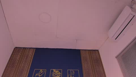 Dakota online show from December 2024 12:52:01 AM