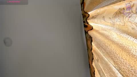 danik online show from March 2026 08:26:01 PM