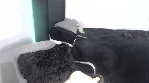 Snapshot of _ergo_proxy chatting on September 2025 02:15:02 AM Proxy online show from September 2025 02:15:02 AM