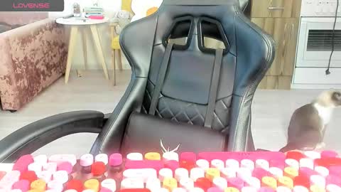 Alis online show from March 2026 06:29:02 AM