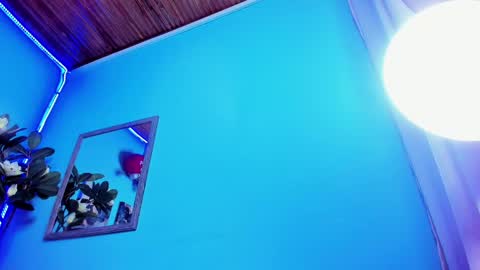 Snapshot of _hairybeard_ chatting on February 2025 11:06:02 AM Mathews online show from February 2025 11:06:02 AM