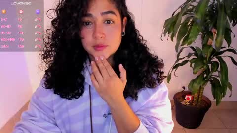     online show from April 2026 11:24:01 AM