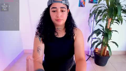     online show from May 2026 02:13:02 PM