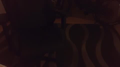 _krakauer_ online show from December 2024 05:00:01 PM