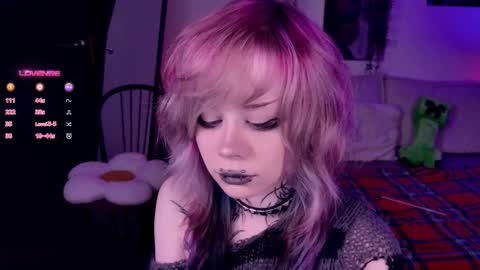 Lolly online show from November 2025 10:37:01 AM