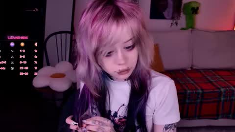 Lolly online show from November 2025 09:30:01 AM