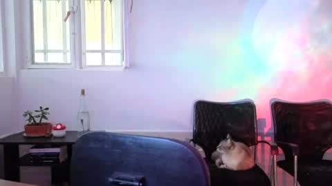 _lunablondie_ online show from August 2026 02:31:01 PM