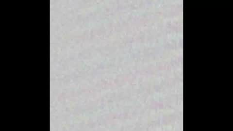 _maccaa_ online show from November 2025 11:44:01 AM