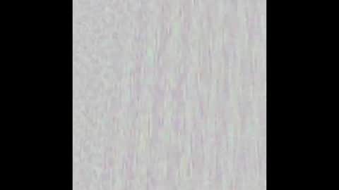 _maccaa_ online show from December 2025 11:51:01 AM