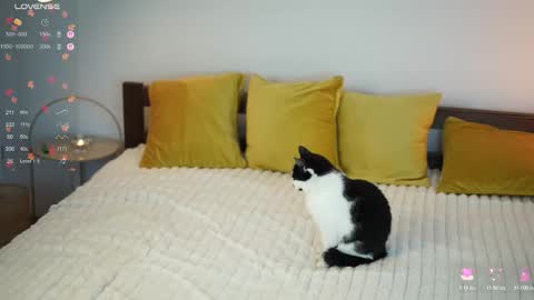 _million_dollarsmile online show from December 2025 12:43:02 PM