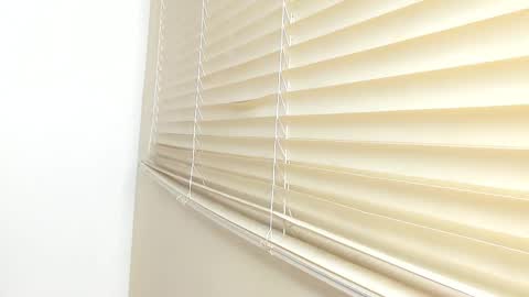 _molly_rosse_ online show from November 2025 11:53:01 AM