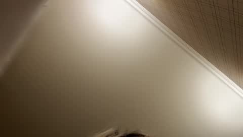 Snapshot of _morpho_ chatting on December 2025 08:49:01 PM Francine Aisi Morpho - a genus of blue butterflies. online show from December 2025 08:49:01 PM