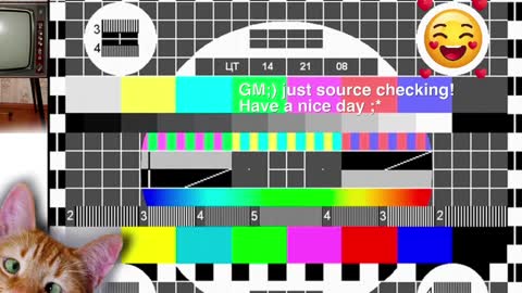 Snapshot of _private_person_ chatting on December 2024 11:26:01 AM HADLY today day-off see u online 0112 online show from December 2024 11:26:01 AM