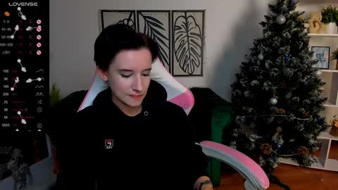 Rein online show from December 2024 12:33:01 PM