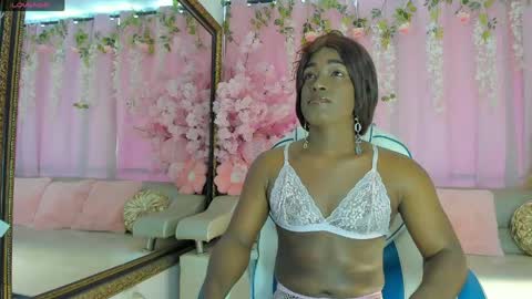 Sammy online show from May 2026 01:27:01 PM