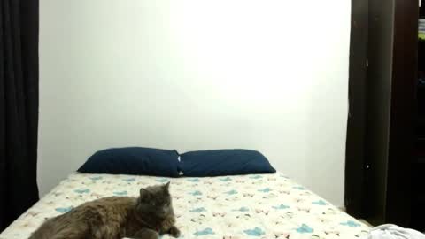 Snapshot of _sofiaparker_ chatting on October 2025 04:37:01 PM Sofia Parker online show from October 2025 04:37:01 PM