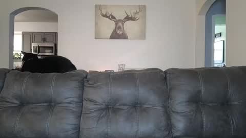 SophiaGraceKnight online show from October 2025 04:37:01 PM