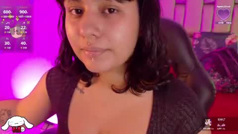 V E N U S online show from June 2026 11:34:01 AM
