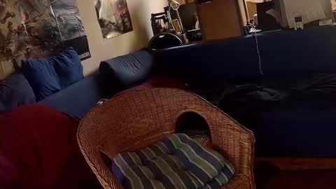 Sven online show from October 2025 01:23:04 PM