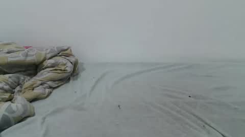 Snapshot of _sweetberry95 chatting on December 2024 06:35:02 PM Talia online show from December 2024 06:35:02 PM