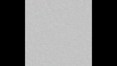 _tammarra_ online show from October 2025 06:38:02 PM