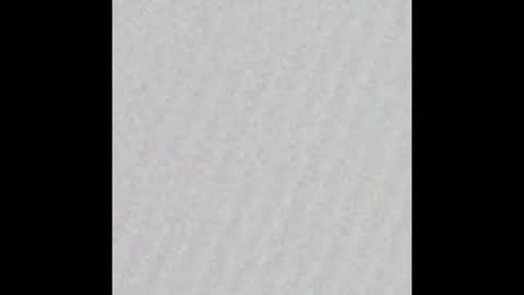 Snapshot of _tammarra_ chatting on November 2025 09:08:01 PM _tammarra_ online show from November 2025 09:08:01 PM