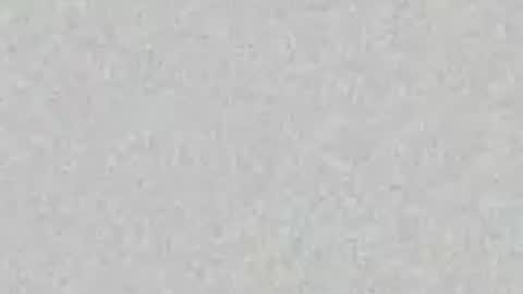 _tammarra_ online show from June 2026 08:11:02 PM