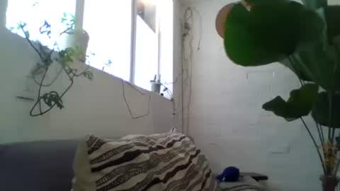 _tutti_frutti_ online show from February 2025 09:18:02 PM