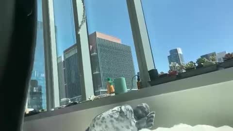 aaron494949 online show from April 2026 07:55:01 PM