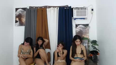 abbey online show from November 2025 02:38:01 PM