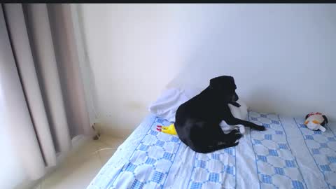 Abby online show from February 2026 06:00:02 PM