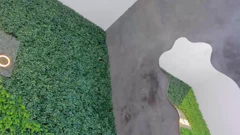 A B B Y online show from February 2025 06:19:02 PM