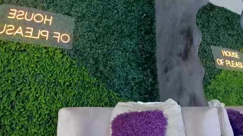 A B B Y online show from February 2025 11:50:01 AM