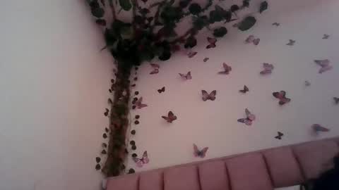 abby_moss_2 online show from June 2026 12:48:02 PM