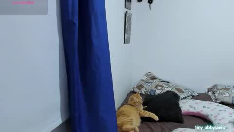 Abby Saenz online show from October 2025 11:27:02 PM