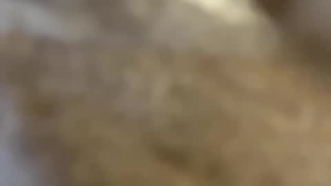 ABBY online show from December 2024 10:50:02 AM