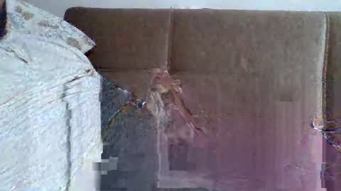 abdil_34 online show from February 2025 09:18:02 PM