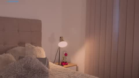 Snapshot of abellacroft chatting on December 2024 12:33:01 PM Abella online show from December 2024 12:33:01 PM