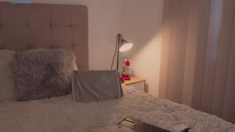 Snapshot of abellacroft chatting on December 2024 12:44:02 PM Abella online show from December 2024 12:44:02 PM