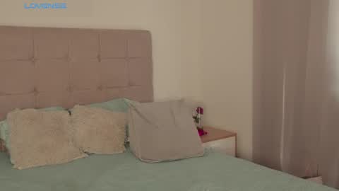 Snapshot of abellacroft chatting on February 2025 03:09:02 PM Abella online show from February 2025 03:09:02 PM