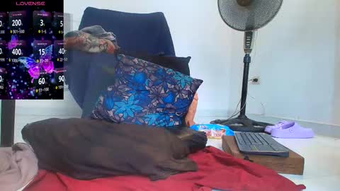 Abigail online show from September 2025 05:35:02 PM