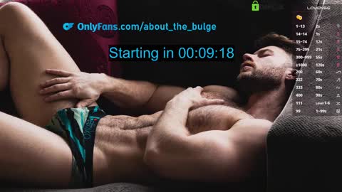 Snapshot of about_the_bulge chatting on February 2025 08:44:02 PM about_the_bulge online show from February 2025 08:44:02 PM