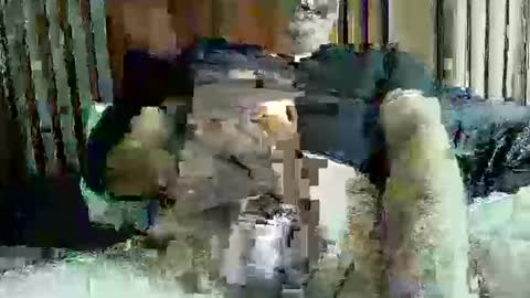 Snapshot of ace1man chatting on October 2025 01:53:02 PM ace1man online show from October 2025 01:53:02 PM